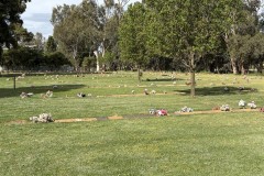 IMG_3701-Medium