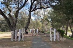 IMG_3712-Medium