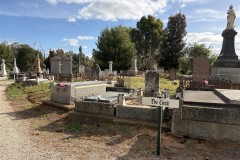 IMG_3734-Medium