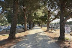 IMG_3784-Medium