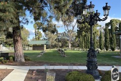 IMG_3789-Medium