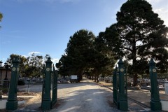 IMG_3816-Medium